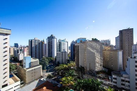VISTA de apartamento para alugar com 4 quartos, 278m² em Funcionários, Belo Horizonte