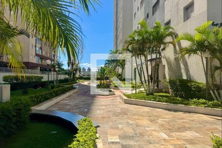 Apartamento para alugar com 66m², 2 quartos e 1 vaga Apartamento para alugar com 66m², 2 quartos e 1 vagaÁrea comum