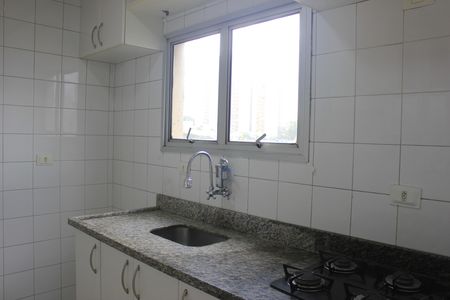 Apartamento para alugar com 66m², 2 quartos e 1 vagaCozinha 