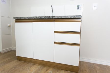 Apartamento para alugar com 35m², 2 quartos e sem vagaCozinha - Armários
