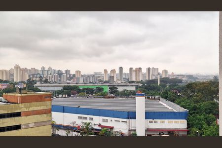 Vista de apartamento para alugar com 2 quartos, 48m² em Parque Industrial Tomas Edson, São Paulo
