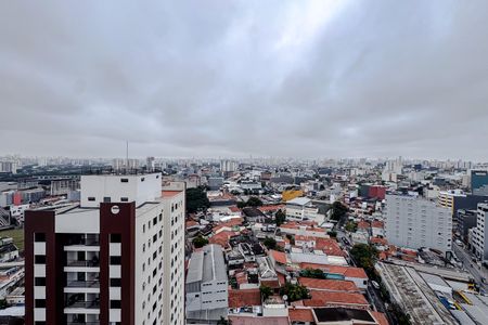 Apartamento para alugar com 74m², 3 quartos e 2 vagas Apartamento para alugar com 74m², 3 quartos e 2 vagasVista da Varanda