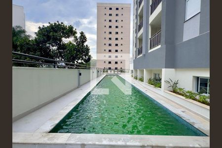 Área comum - Piscina de apartamento para alugar com 2 quartos, 45m² em Macedo, Guarulhos