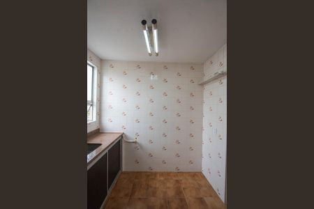 Cozinha de apartamento para alugar com 2 quartos, 45m² em Vila Padre Manoel de Nobrega, Campinas