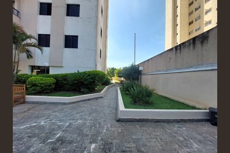 Apartamento para alugar com 74m², 3 quartos e 2 vagas Apartamento para alugar com 74m², 3 quartos e 2 vagasÁrea comum