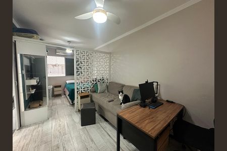 Sala de apartamento para alugar com 1 quarto, 32m² em Centro, São Vicente