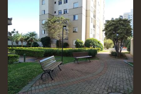 Área comum - jardim de apartamento para alugar com 2 quartos, 48m² em Vila Moreira, São Paulo
