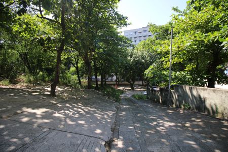 Área comum - Verde de apartamento à venda com 3 quartos, 82m² em Olaria, Rio de Janeiro