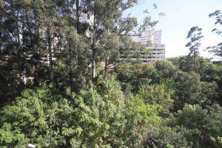 Vista de apartamento à venda com 2 quartos, 44m² em Cidade São Mateus, São Paulo