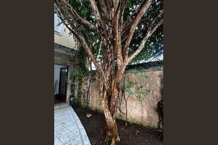 Casa para alugar com 220m², 3 quartos e 4 vagasArea externa