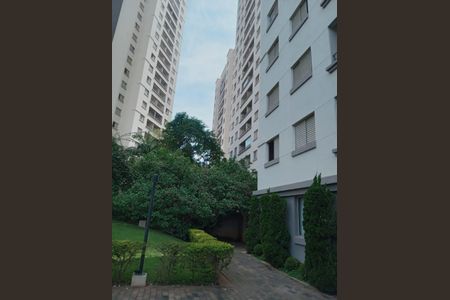 Apartamento à venda com 71m², 3 quartos e 1 vaga