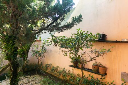 Quintal  de casa à venda com 2 quartos, 79m² em Jardim Nossa Senhora do Carmo, São Paulo