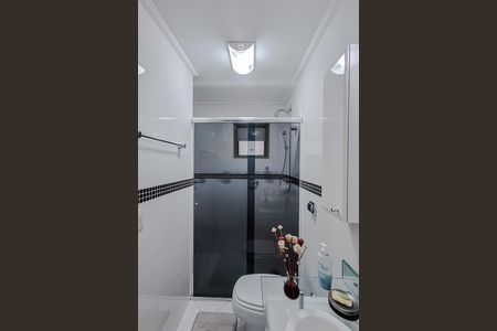 Banheiro de apartamento para alugar com 2 quartos, 62m² em Aclimação, São Paulo