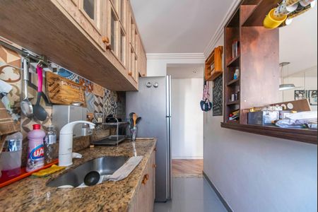 Cozinha  de apartamento para alugar com 2 quartos, 47m² em Parque Sao Vicente, Santo André