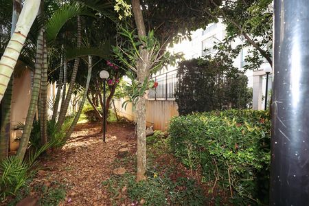 Área verde de apartamento para alugar com 2 quartos, 62m² em Ipiranga, São Paulo