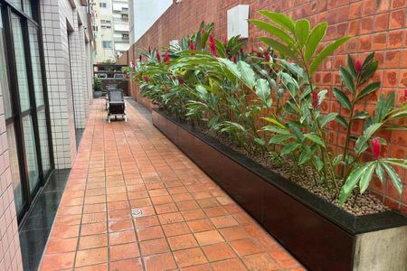 Apartamento para alugar com 110m², 2 quartos e 1 vaga Apartamento para alugar com 110m², 2 quartos e 1 vagaPátio com plantas e cadeiras de praia, com vista para o prédio ao fundo.