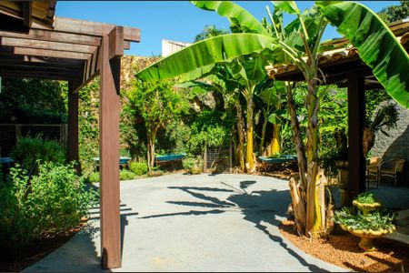 Quintal de casa à venda com 4 quartos, 450m² em Setor Jao, Goiânia