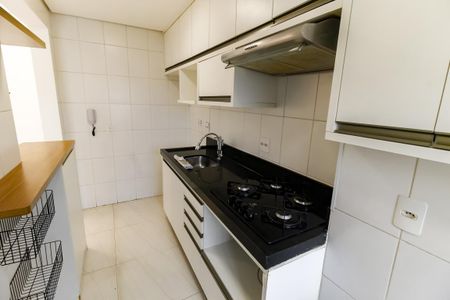 Apartamento para alugar com 46m², 2 quartos e 1 vagaCozinha - Armários