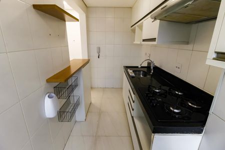 Apartamento para alugar com 46m², 2 quartos e 1 vagaCozinha - Armários