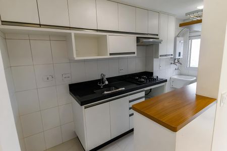 Apartamento para alugar com 46m², 2 quartos e 1 vagaCozinha - Armários