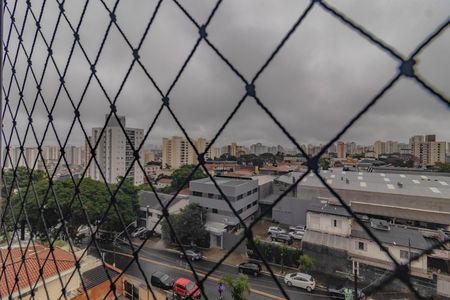 Apartamento para alugar com 2 quartos, 58m² em Vila Santa Catarina, São Paulo