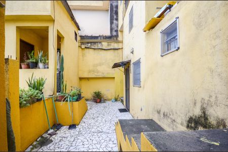 Área externa de casa para alugar com 1 quarto, 35m² em Vila Palmeiras, São Paulo