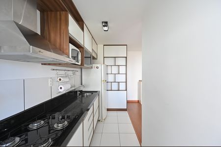 Cozinha de apartamento para alugar com 1 quarto, 49m² em Vila Guarani (zona Sul), São Paulo