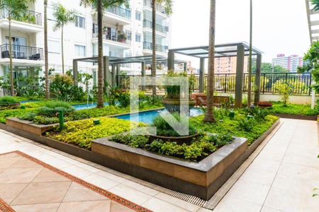 Área Comum de apartamento para alugar com 1 quarto, 49m² em Vila Guarani (zona Sul), São Paulo