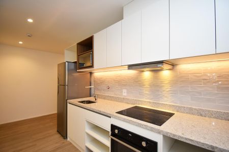 Apartamento para alugar com 56m², 2 quartos e sem vagacozinha