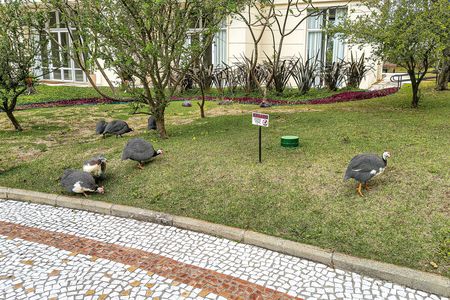 Apartamento para alugar com 223m², 4 quartos e 2 vagasÁrea comum