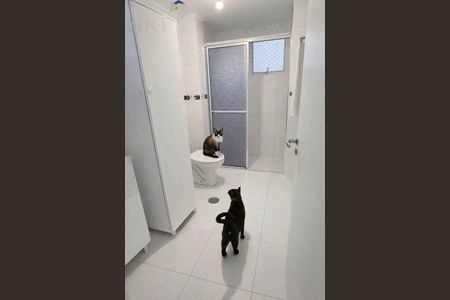 Apartamento à venda com 70m², 2 quartos e 1 vaga