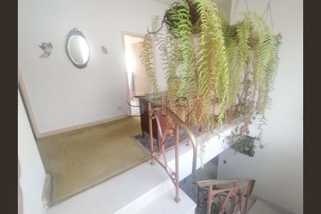 Casa à venda com 3 quartos, 290m² em Alto da Lapa, São Paulo