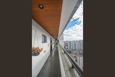Apartamento para alugar com 1000m², 4 quartos e 4 vagas Apartamento para alugar com 1000m², 4 quartos e 4 vagasSacada das Suítes
