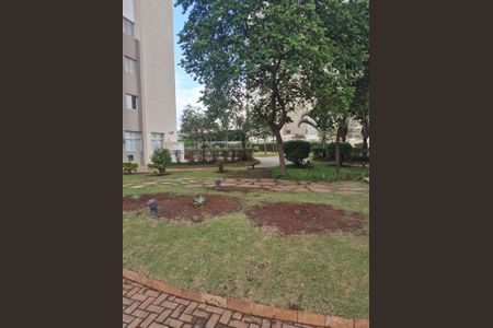Apartamento para alugar com 70m², 2 quartos e 1 vagaFoto 31