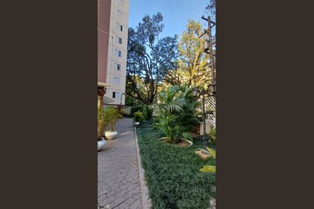 Apartamento à venda com 3 quartos, 62m² em I.a.p.i., Osasco