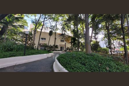 Apartamento à venda com 3 quartos, 76m² em Vila Mascote, São Paulo