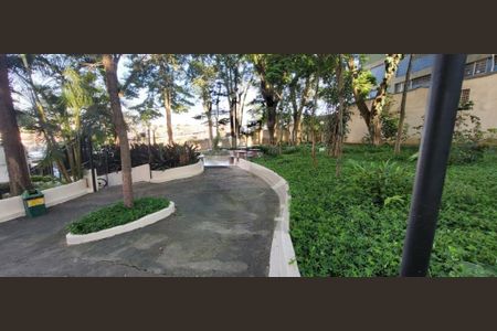 Apartamento à venda com 3 quartos, 76m² em Vila Mascote, São Paulo