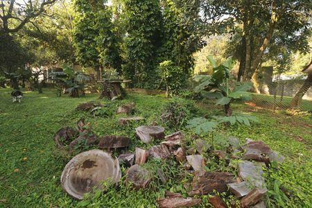 Casa à venda com 330m², 6 quartos e 2 vagasJardim