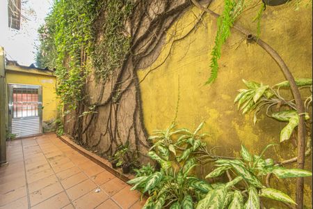 Quintal de casa à venda com 3 quartos, 240m² em Santo Amaro, São Paulo