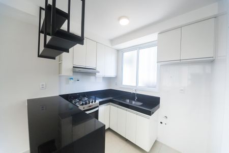 Cozinha de apartamento para alugar com 2 quartos, 62m² em Sion, Belo Horizonte