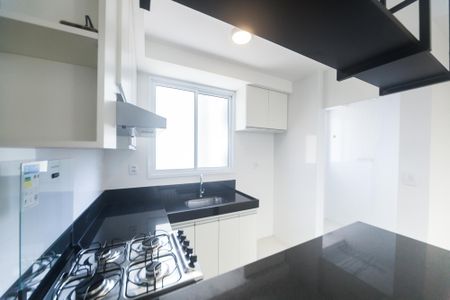 Cozinha de apartamento para alugar com 2 quartos, 62m² em Sion, Belo Horizonte