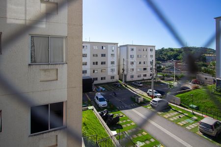Apartamento para alugar com 47m², 2 quartos e 1 vaga Apartamento para alugar com 47m², 2 quartos e 1 vagaVista do Quarto 2