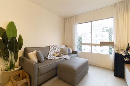 Sala de apartamento para alugar com 2 quartos, 62m² em Jardim Santa Emilia, São Paulo