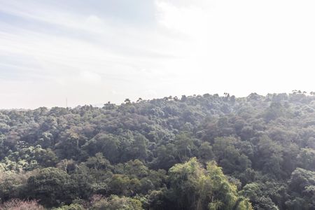 Apartamento para alugar com 52m², 2 quartos e 1 vagaVista da Sacada