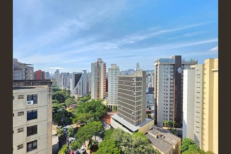 Vista da Suíte Master  de apartamento para alugar com 4 quartos, 303m² em Santo Agostinho, Belo Horizonte