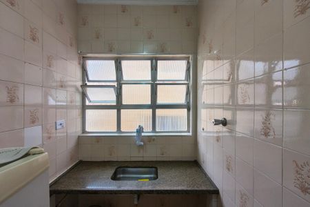 Apartamento para alugar com 48m², 1 quarto e sem vagaCozinha 