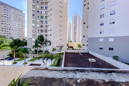 Apartamento para alugar com 3 quartos, 70m² em Belenzinho, São Paulo