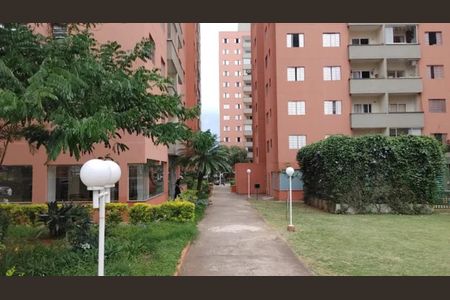 Foto 13 de apartamento à venda com 3 quartos, 71m² em Piratininga, Osasco