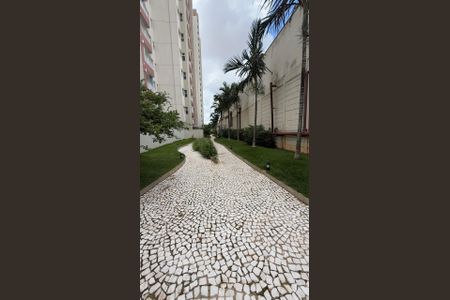 Foto 46 de apartamento à venda com 3 quartos, 83m² em Ponte Preta, Campinas