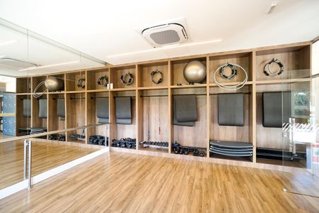 Academia de apartamento para alugar com 2 quartos, 67m² em Vila Zilda, São Paulo